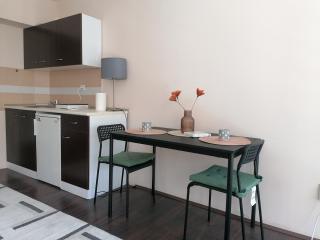 SwissResidente u parku - Kragujevac - 3