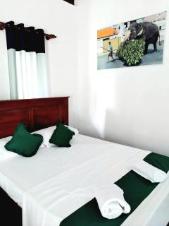 Seeing Green Udawalawa - 3