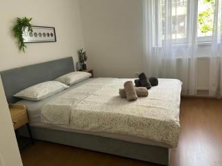 Blues Apartment - Novi Sad - 9