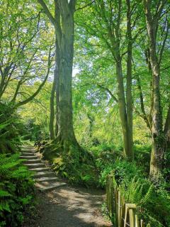 Loughview Cottage - 6