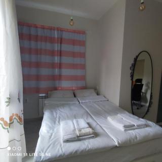 NDK Central Home - Sofia - 7