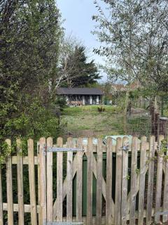 Duxford Lodge, Cholsey - Cholsey - 6