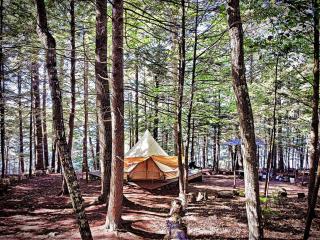 Island Glamping Oasis: Whole Island Vacation Rental on a Lake in Monmouth, Maine - Monmouth - 7