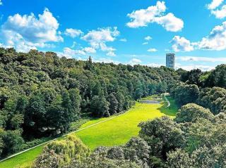 Logement cosy au centre ville - 3