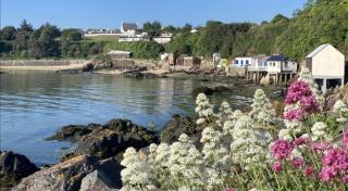 Logement cosy au centre ville - 1