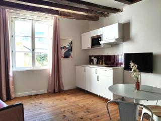 Large new studio, charming and quiet, historical center - Chinon - 0