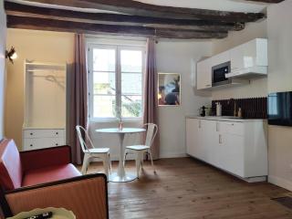 Large new studio, charming and quiet, historical center - Chinon - 1