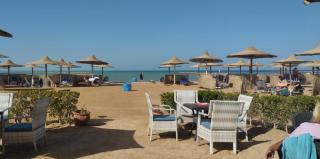 turtles beach - Hurghada - 3