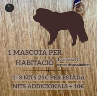 Hostal Les Fonts - Castellar de NʼHug - 4
