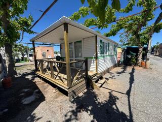 Camping los naranjos - Moncofa - 7
