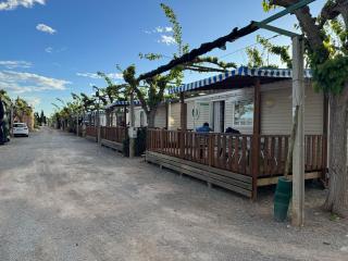 Camping los naranjos - Moncofa - 3