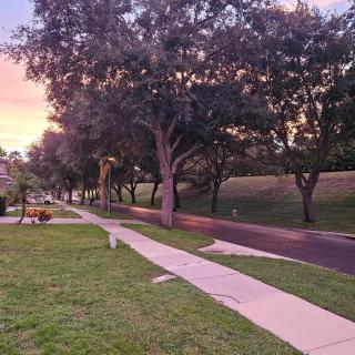 Lakeside at Sunset - Kissimmee - 8