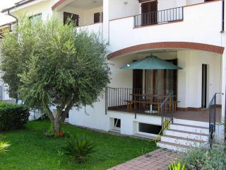 Collemare Scerne di Pineto - Scerne - 2
