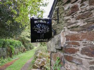 Dunridge Cottage - Yelverton - 9