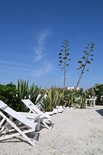 She Mykonos - The Iconic Windmill - Megali Ammos - 1