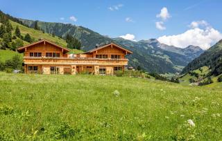 Ferienhaus Großarl Mit Sauna - Grossarl - 0