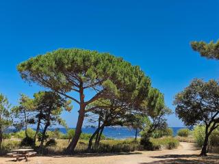 Mazet vue mer - parking - wifi - clim - piscine - Sainte-Maxime - 7
