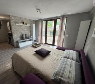 La Casa di Sonia Apartment - Verona - 0