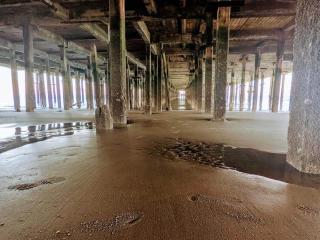 Beachfront with sea views in Walton on the Naze - 2