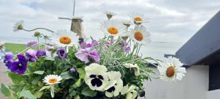 Unieke Penthouse met royaal dakterras en Zeezicht VP085 - Vlissingen - 2