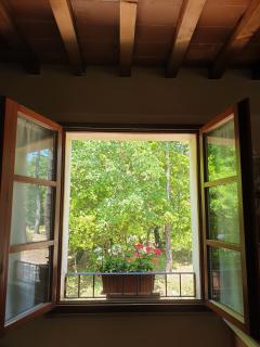 La Casina Di Lidia - Gambassi Terme - 4