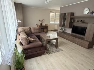 Apartament Rodzinny Zielone Tarasy - Skorka - 0