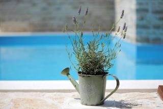 rural home with heated pool raštane - Donje Raštane - 4
