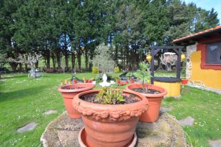 Hotel Rural Rumoroso - Rumoroso - 3