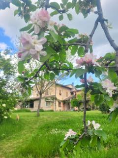 Casa della Casa - San Severino Marche - 3