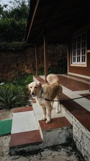 Coorg hill - 3