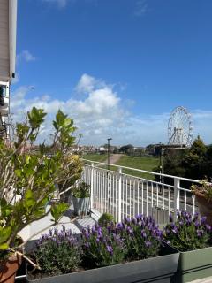 The New England - Eastbourne - 8