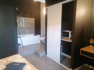 Studio Baignoire centre ville - 1