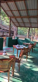 Treehouse & Lofts Sigiriya - Sigiriya - 1