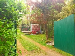 L'Hermitage au sein d'un jardin forêt près de l'océan - Mimizan - 5
