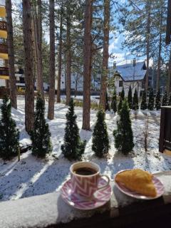 Apartman Freedom Zlatibor - Zlatibor - 8