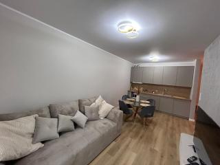 Apartament na Wisłą - Grudziądz - 7