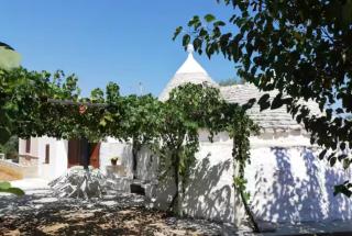 Trullo Negli Ulivi - Fasano - 0