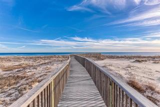 The Beach Club 507C - Gulf Highlands - 9