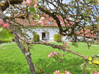 Gasthaus-Pension-Ferienwohnung Zum Engel - Waldbrunn - 3