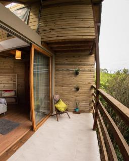 Jungle Floripa - 6