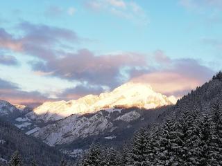 Un Coin De Paradis - Châtel - 4
