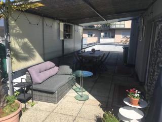 Unique little house on a roof top - ideal for ESC - Basilea - 7