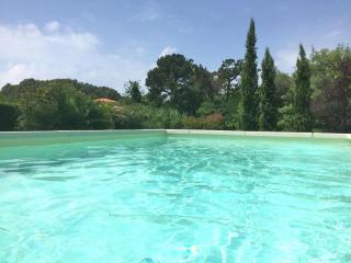 Villa Torre 9P AC 2 pools 300 m from the sea - Marina di Massa - 8