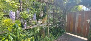 Chalet met Veranda & omheinde, ruime tuin in Zeeland VP077 - 9