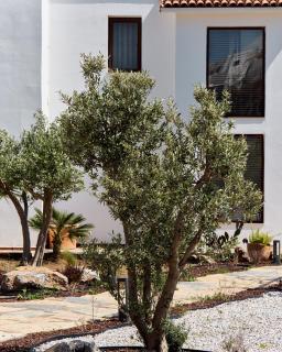 Casa Caria Suites - 6