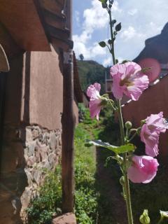 Magic of Love - Písac - 8
