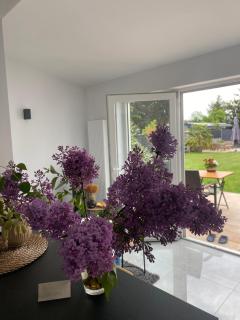 Neues Ferienappartment PfalzHerz - Hassloch - 2