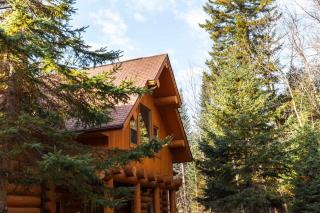Executive Plus 52 - beautiful spacious log home with private hot tub pool - Mille-Isles - 8