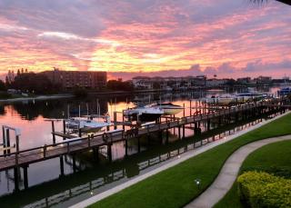 Bayside Bliss - St Petersburg - 0
