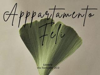 Appartamento Feli - Lovere - 9